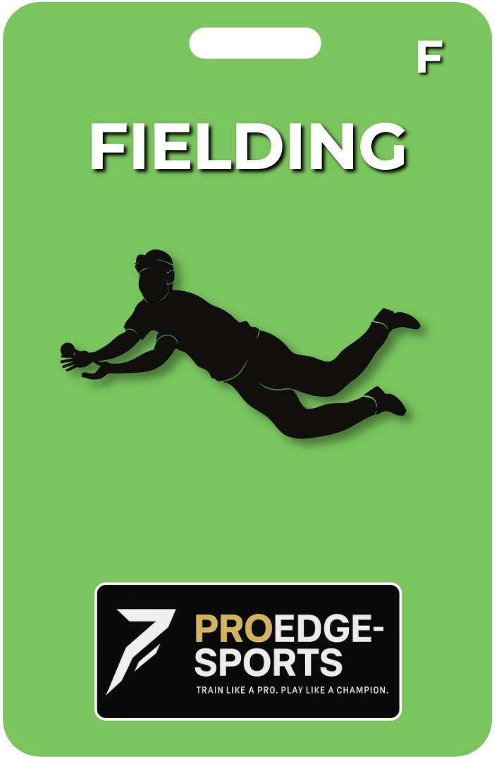 ProEdge Cricket Fielding Pack ProEdge Cricket Fielding Training Pack - Professional cricket coaching cue cards